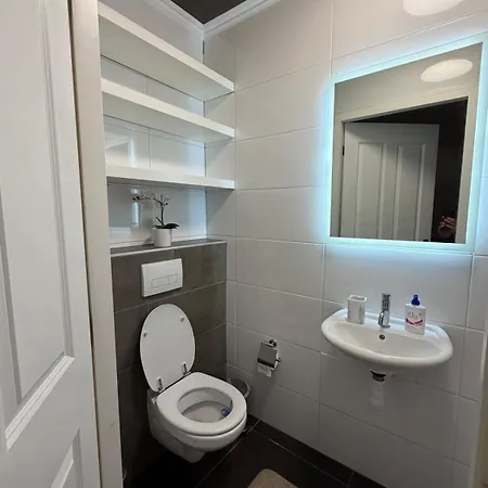 Daire 1-bedroom Near Asml & Airport Veldhoven